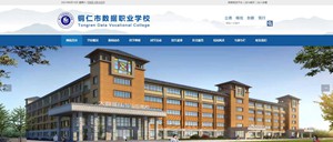 大丰数据职业学校