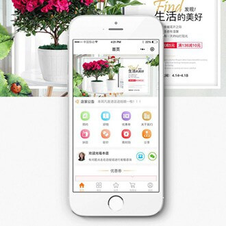 大丰门店微商城小程序开发