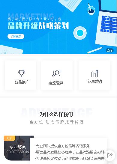 大丰咨询策划小程序开发